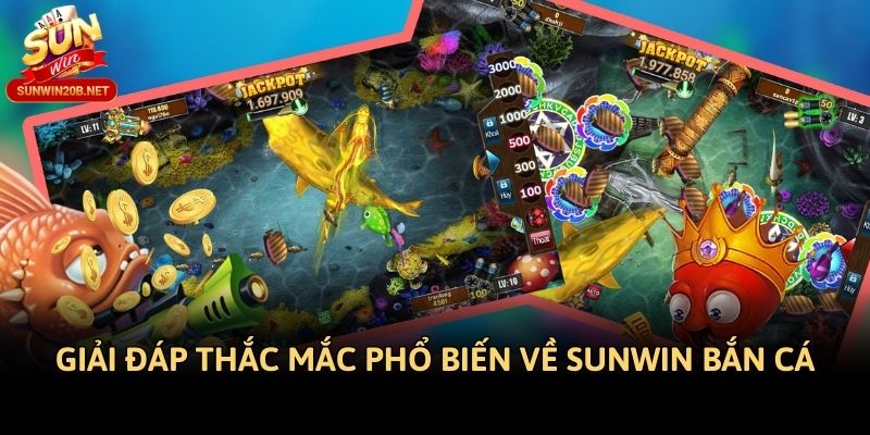 Giải đáp thắc mắc phổ biến về Sunwin bắn cá